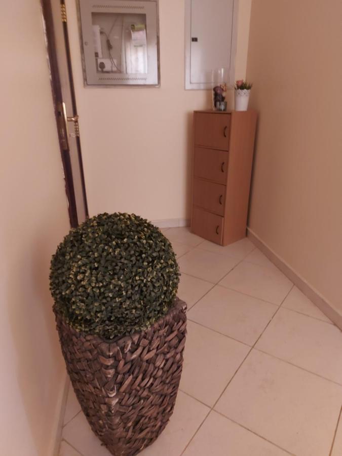 Do By Walking Distance In Alain Apartment Al Ain